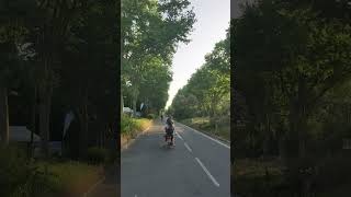 free video download without copyright
