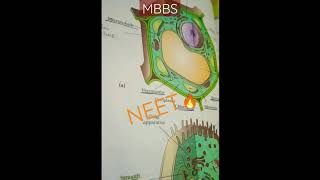 neet study motivation#biology #motivation #short #nightstudyroutine