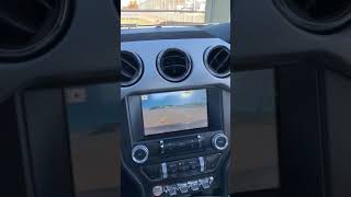 2016 Mustang GT Premium - Fan Problems