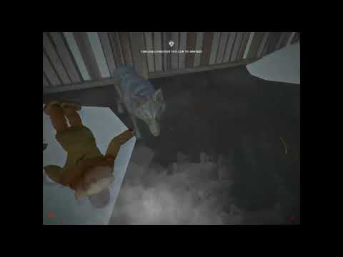 TheLongDark-Glitched Wolf