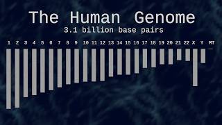 The Golden Age of Genomics