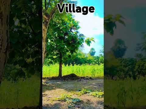 #music #song #love #coversong #lyrics #hackman #funny #titanic #standupcomedy #hacksan   my village