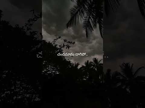 Na cheli rojave song WhatsApp status.                #oldsongs #telugusongs #spbalasubrahmanyam