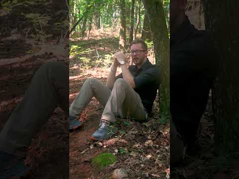 Jesus Died to Set You Free from Sin — Not Leave You in It ✝️❤️ #JesusSetsFree #GodsLove #Freedom