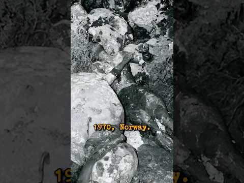 6 Unsolved Cases That Still Haunt the World #crime