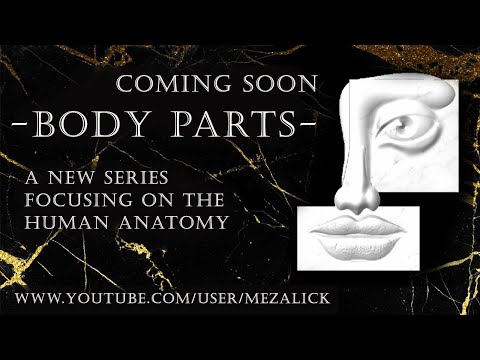 Body Parts  Preview Vectric Aspire
