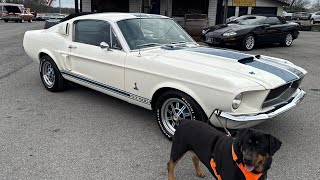 Test Drive 1967 Ford Mustang Fastback $49,900 Maple Motors #3212
