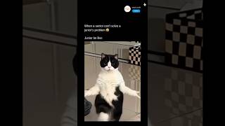 When a Senior Can’t Solve a Junior’s Coding Problem | Funny Programmer Meme | LIKE SHARE SUBSCRIBE