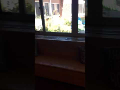Window bench