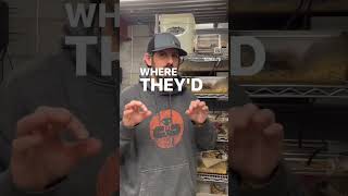 Efficient mice and rat breeding!! #ballpythonmorphs #reptile #python #snkeltd #ballpython