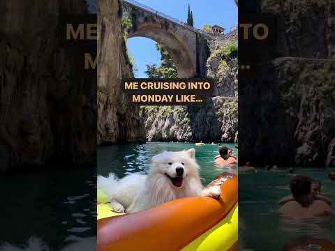 Take the Hassle Out of Sales and Marketing Efforts with Easy Peasy Funnels