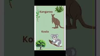 Wild Animals Name||#kidslearning#youtubeshorts#kidsart& learning#learnenglish#learningvideosforkids