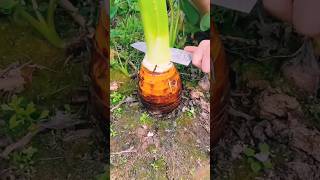 #agritools #farmer life #tonglufeng #agriculture #agritool #youtubeshorts #viral