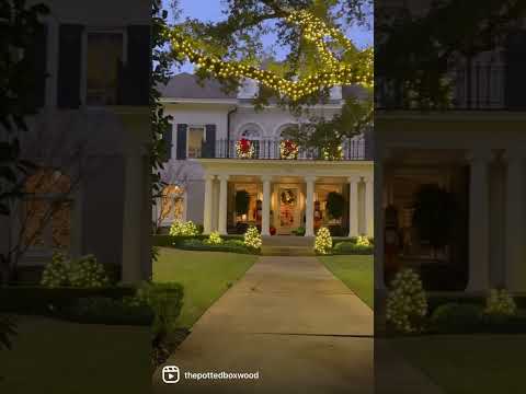 A Christmas lights stroll in Dallas Texas! #christmas #decoration #holiday #lights