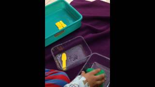 Ritwik doing color / object sorting activity!