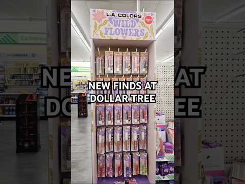#13 New Dollar Tree finds (makeup)