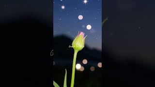 growth isn't loud #easyhandling #trending #shorts #ytshorts