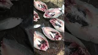 LAMI KAAYO FRESH FROM THE SEA #1stvlog #bunjongsvlog #supportlocal