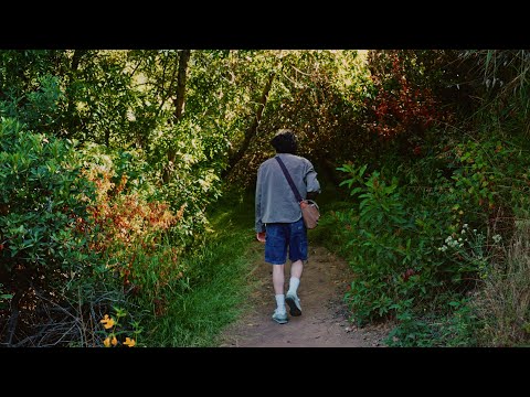 fall in love with being a beginner