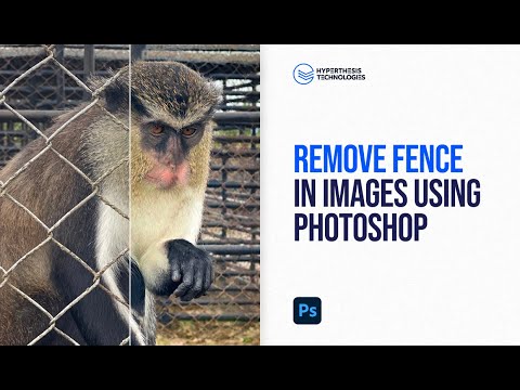 Remove Fence in Images Using Photoshop