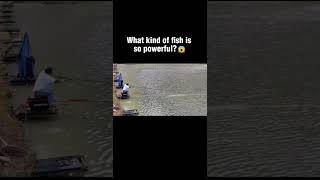 #fishingfail  #fishingfun #fishing
