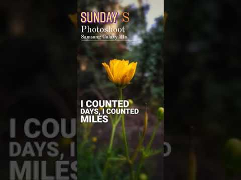 Taylor swift song (phone camera Samsung 21s)