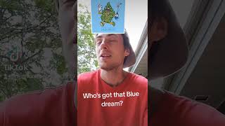 What weed strain am I? #stoner #stonervibes #hippy #weed #Marijuana #legalizemarijuana #bluedream