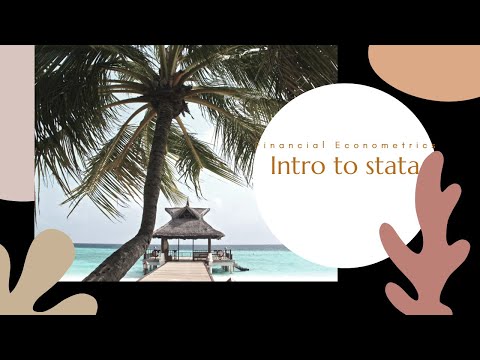 Introduction to Financial Econometrics using stata