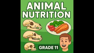 Grade 11 Life Science: Animal Nutrition