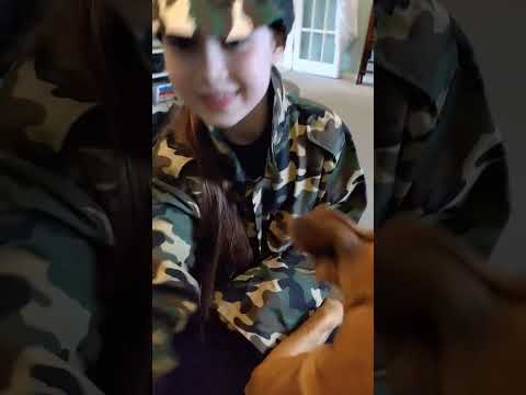 What you can do with staffies, you can't do with cats!!!   #staffies #doglovers