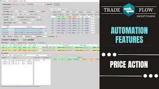 TradeFlow - Price Action - Adjust both legs based on price movement