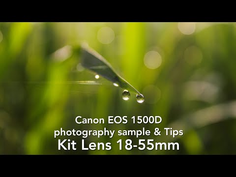 canon 1500d photography sample & Tips