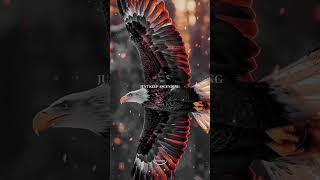 A Powerful Story About Rising Above Negativity -- Virarmos #shorts #motivation #wisdom #selfgrowth