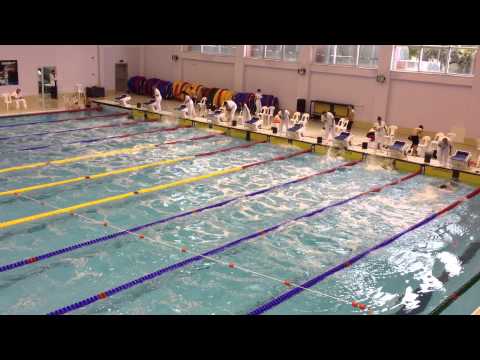 Türker Ayar - 100 Free