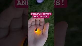 FIREFLY FUN & FACTS: A KID-FRIENDLY NIGHT OF LEARNING! #firefly #educationalfun #scienceforkids