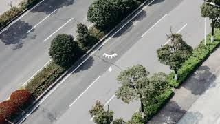 BAYNK - INT. [Official Audio]