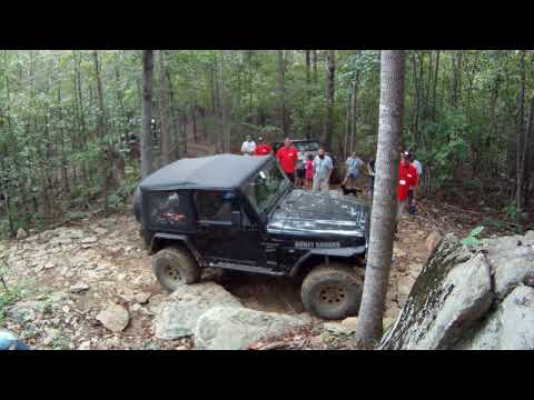 Honey Badger Playing in Uwharrie 2018