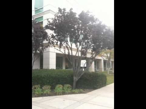 Apple HQ