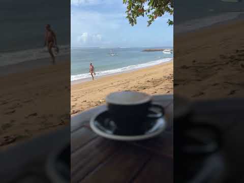 ☕🌊 Where Lattes Meet the Tide