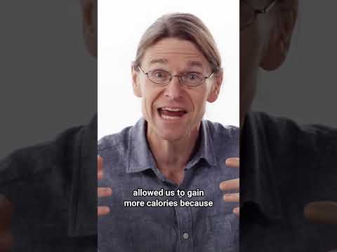 Human evolution and brain size #ai #airevolution