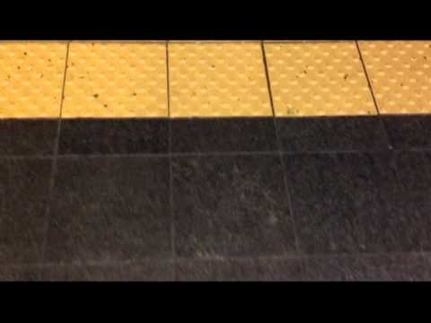 train ride nyc and shoes