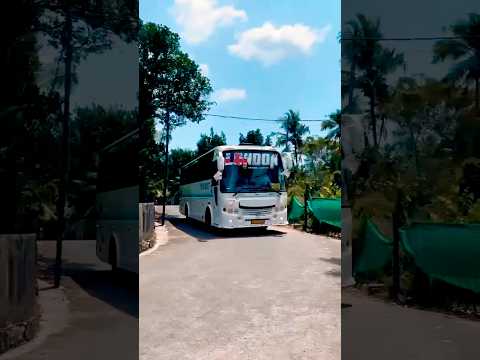 London on vocal💯#bus #vocal #touristbus #keralatouristbus #allkeralatouristbus #shorts #viralshorts