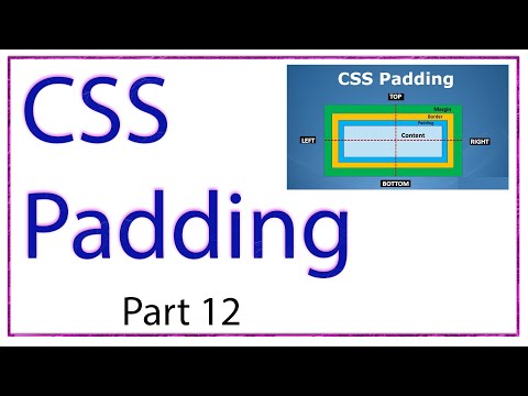 CSS Padding hindi | # how to use CSS Padding hindi