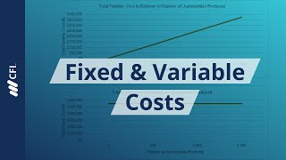 Cost Behavior: Fixed, Variable and Semi-Variable Costs for Budgeting