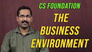 CS foundation : The Business environment
