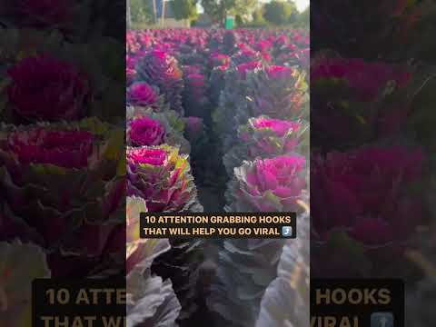 ⚡️10 HOOKS to help you go viral #businesstips #emailmarketing #motivation