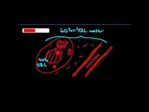 60-40-20 Rule of Water Distribution [UndergroundMed]