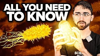 Microbiome MASTERCLASS: An Essential Guide to a Healthier Gut