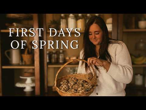Baby Chicks & Birdfeeders | Our First Days of Spring on the Homestead