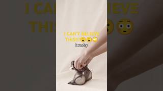 10 Life Hacks You Need Now!#lifehacks #productivitytips #everydaysolutions #lifestyle #diy